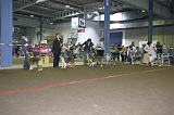 LuxembourgSpring2008349