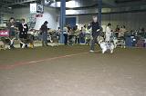 LuxembourgSpring2008423