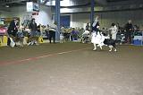 LuxembourgSpring2008437