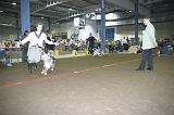 LuxembourgSpring2008459