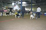 LuxembourgSpring2008560