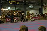 LuxembourgSpring2008658