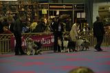 LuxembourgSpring2008659