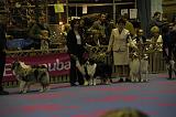 LuxembourgSpring2008664