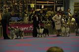 LuxembourgSpring2008666