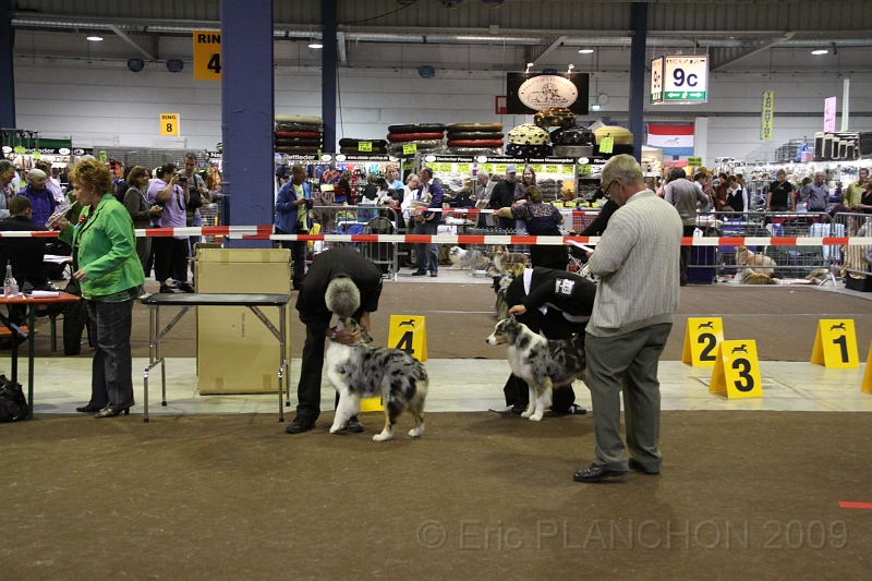 IMG_0224.JPG