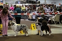 IMG_0117