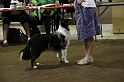 IMG_0195