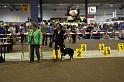 IMG_0231