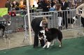 IMG_0579