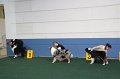 IMG_0581