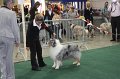 IMG_0590