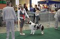 IMG_0603