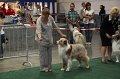 IMG_0604