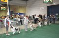 IMG_0607