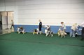 IMG_0608