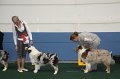 IMG_0613