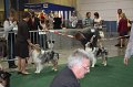 IMG_0616