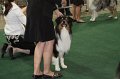 IMG_0620