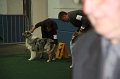 IMG_0629