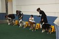 IMG_0631
