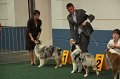 IMG_0636