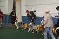 IMG_0637