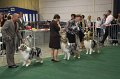 IMG_0638