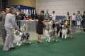 IMG_0639