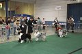 IMG_0646