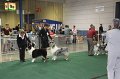 IMG_0649