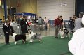 IMG_0650