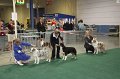 IMG_0653