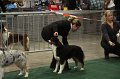 IMG_0656