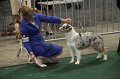 IMG_0658