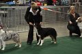 IMG_0659