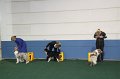 IMG_0662