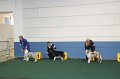 IMG_0667