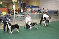 IMG_0668