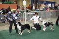 IMG_0669