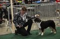 IMG_0681