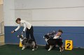 IMG_0686