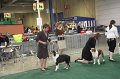IMG_0689