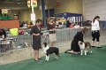 IMG_0690