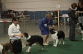 IMG_0692