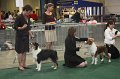 IMG_0695