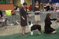 IMG_0696