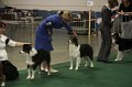 IMG_0699