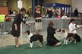 IMG_0702