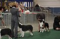 IMG_0705
